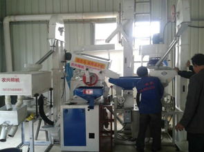 批發供應廠家直銷組合碾米機成套設備 價格、圖片與技術服務詳解